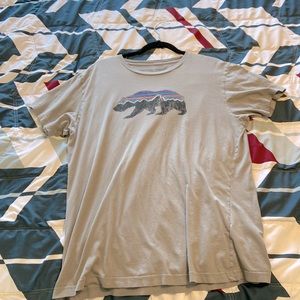 Patagonia T